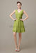 V-neck Sleeveless Chiffon Bridesmaid Dresses